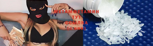 гидра Инсар