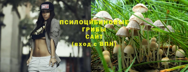 молекула духа Баксан