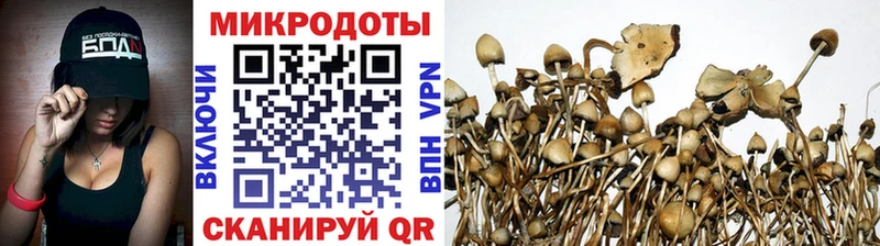 ссылка на мегу ссылки  Бор  Галлюциногенные грибы мухоморы  закладка 
